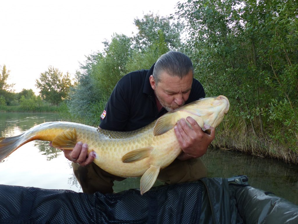 Ungarischer Rekordfisch aus See gezogen